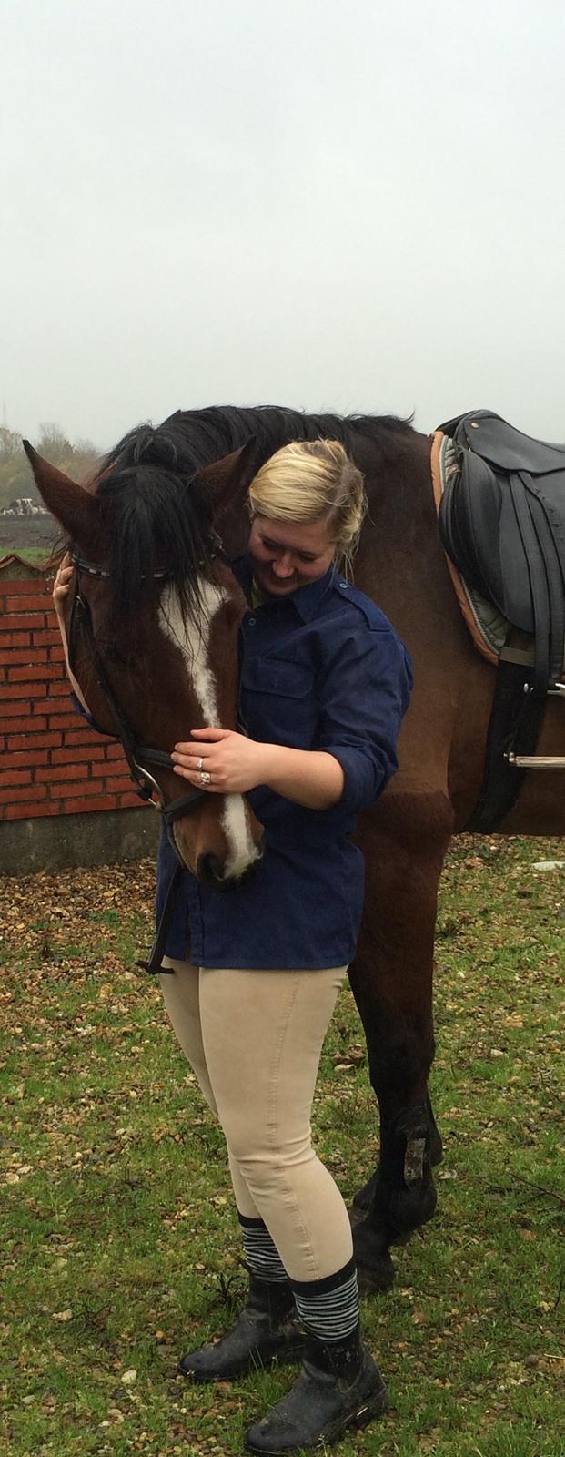 Dansk Varmblod Lillelunds Cheval (Heidi) billede 4