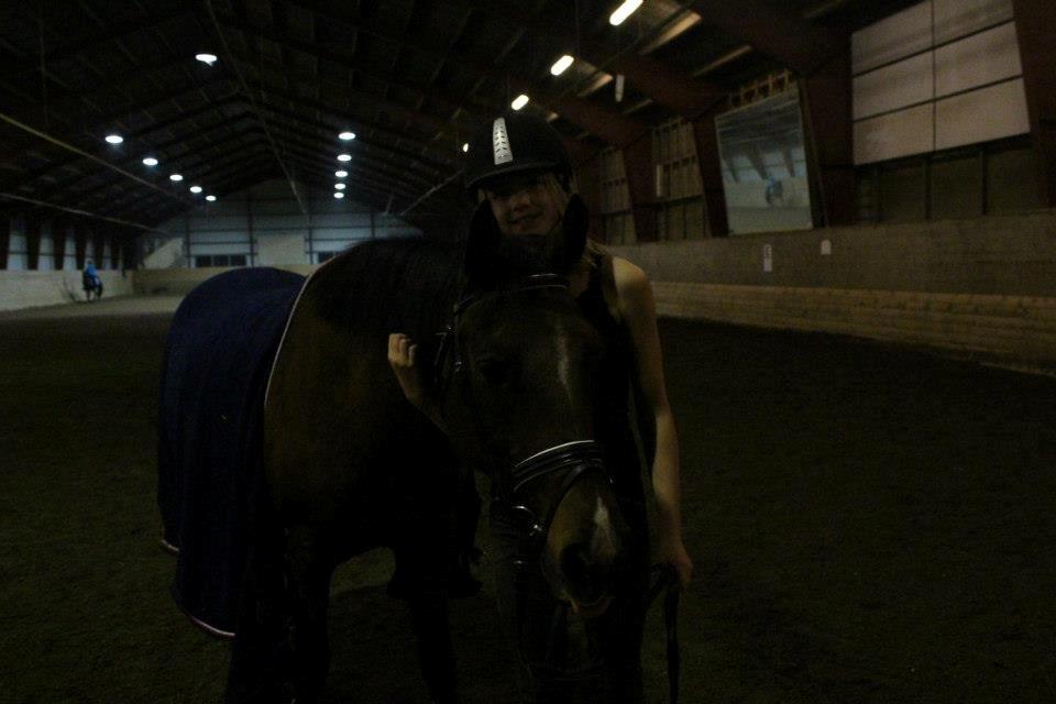 Hollandsk Sportspony Storm<3 - miig og Storm<3 billede 16