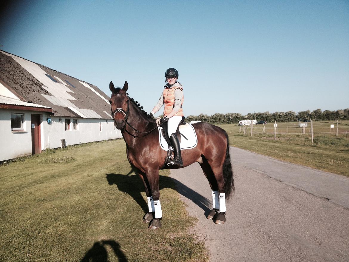 Anden særlig race Sputnik (Sprutte) billede 15