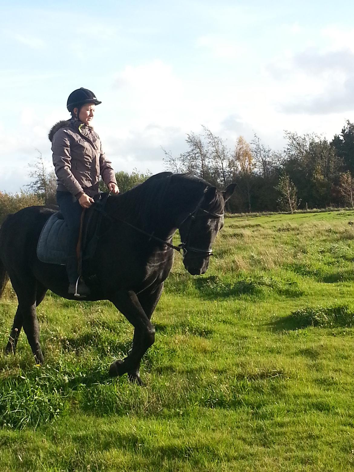 Anden særlig race Beauty billede 8