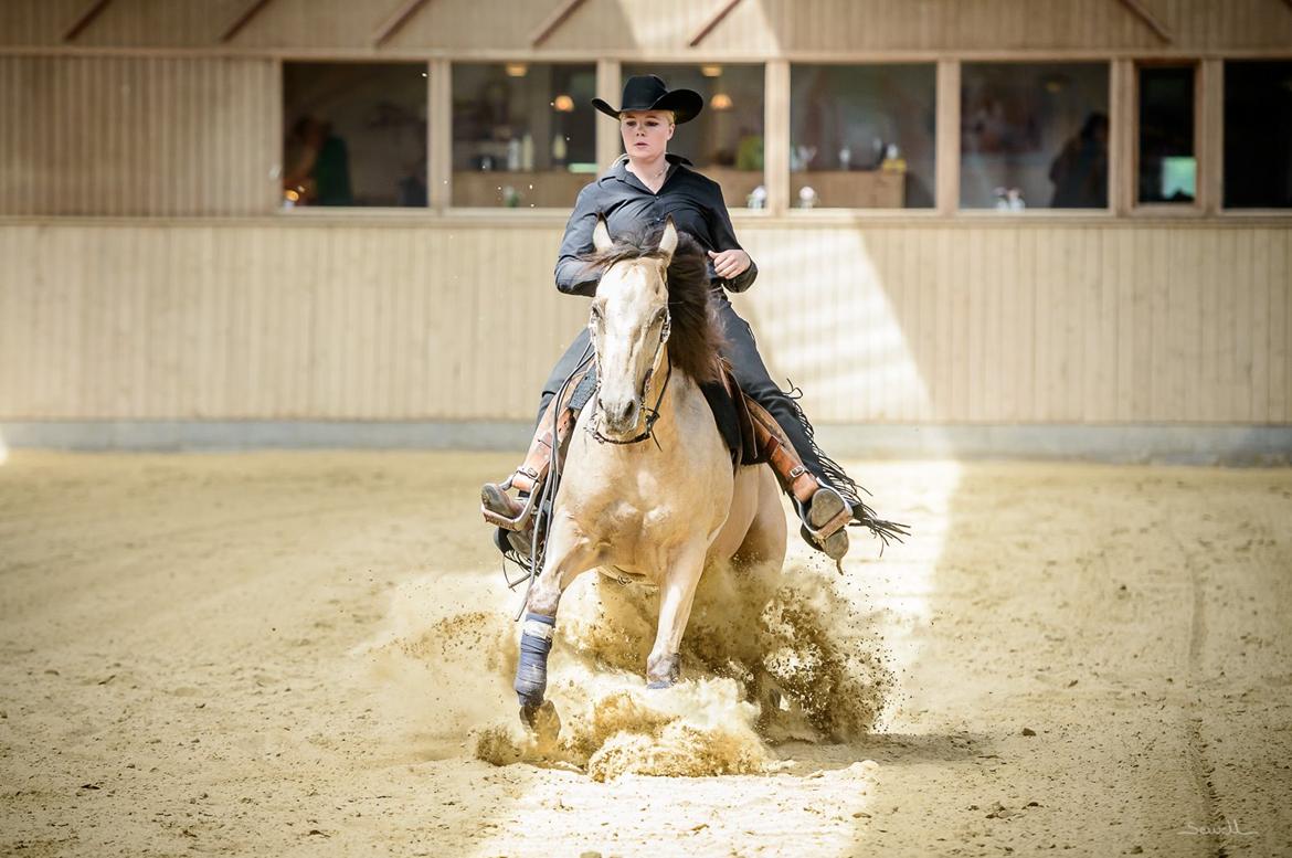 Quarter Rooster Did It billede 1