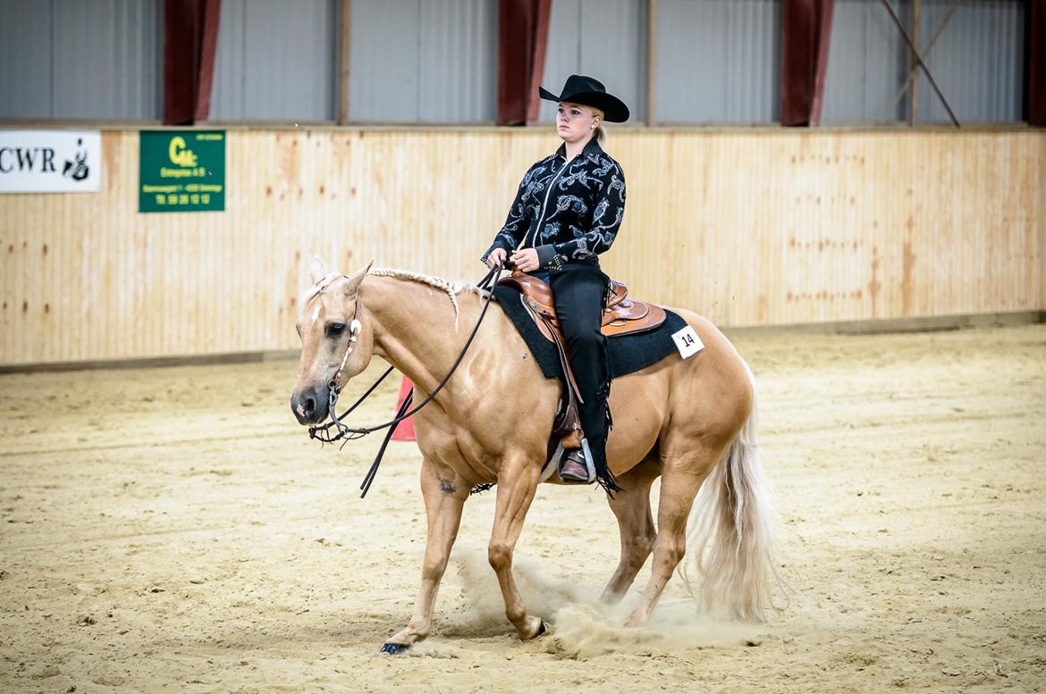 Quarter Codys Smart Peter billede 24