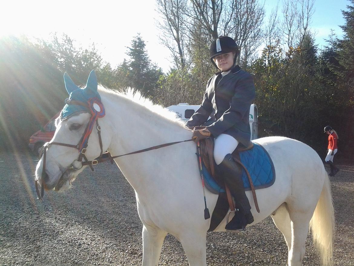 Anden særlig race MR. Mayson - sth stævne, 25. oktober 2014, 3. plads billede 6