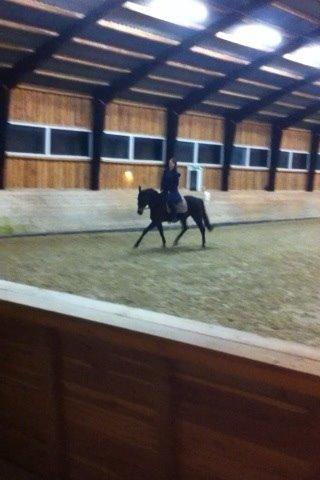 Traver Maja simoni billede 17