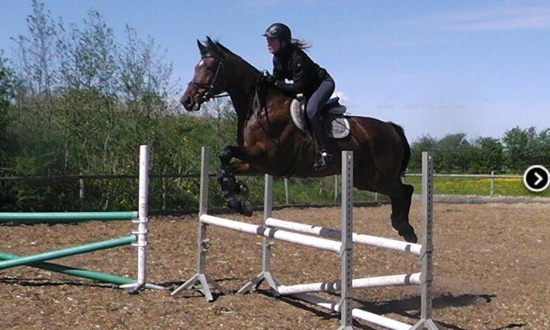 Holstener Enghøjs Pia billede 16