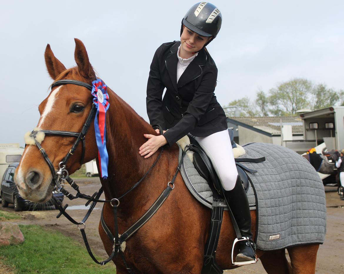 Tysk Oldenburger Bladsgaards Windy Sky - Sønderborg rideklub d. 25/10-14. LC B0 0 fejl.  billede 5