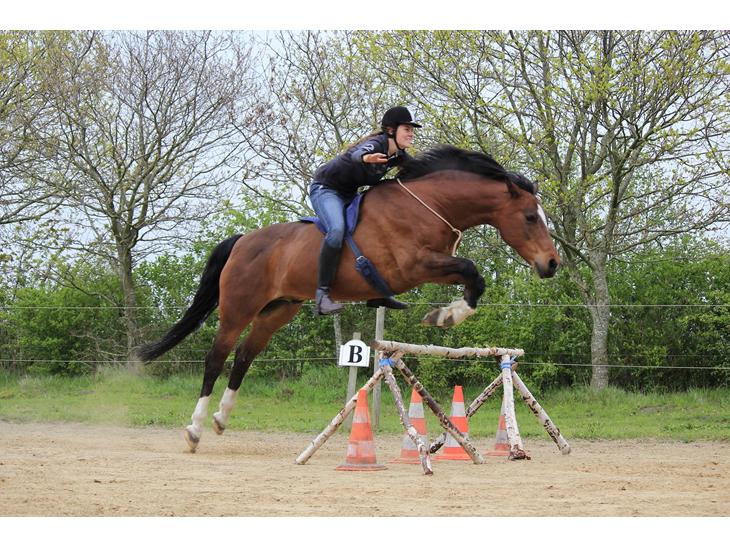 {{currentPhoto.altText}} billede {{currentPhoto.number}}