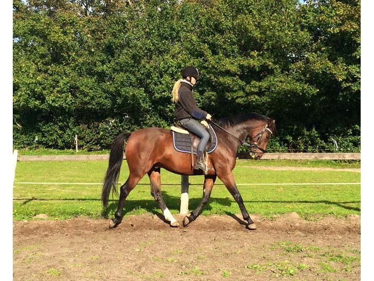 {{currentPhoto.altText}} billede {{currentPhoto.number}}