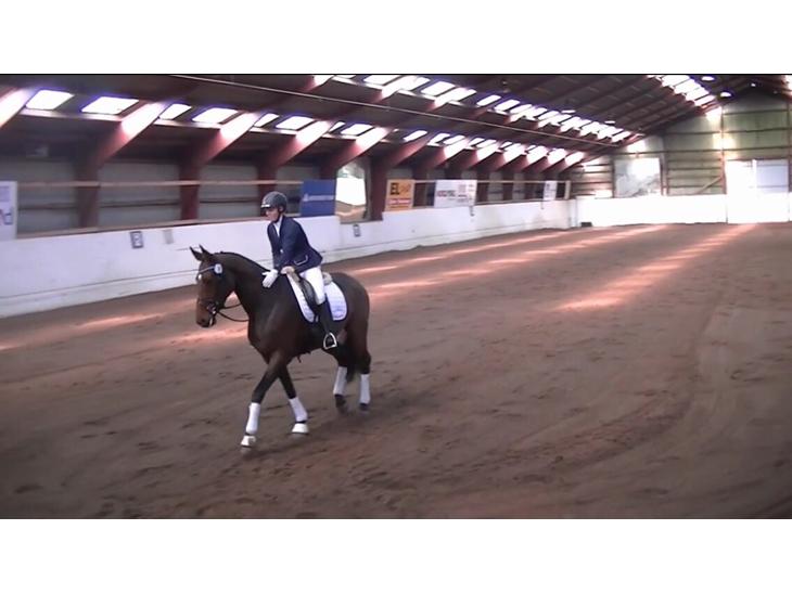 {{currentPhoto.altText}} billede {{currentPhoto.number}}