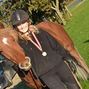 Islænder Gassi fra Asselkær.