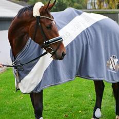 Anden særlig race Lippaschu