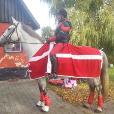 Anden særlig race Isha