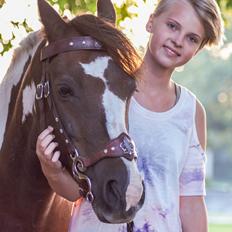 Pinto | Emir Ponygården | My best friend |