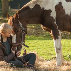 Pinto | Emir Ponygården | My best friend |