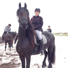 Frieser Zaffa AF Fugleholt (mors)