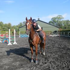 Dansk Varmblod Fiona