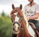 Pinto | Emir Ponygården | My best friend |