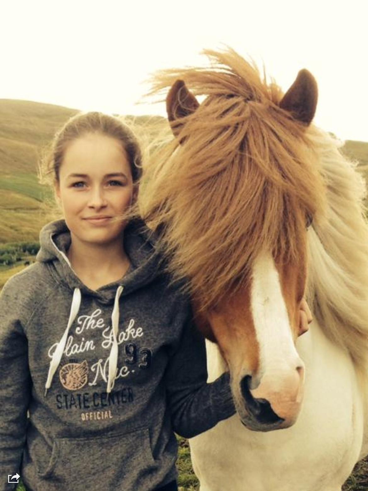 Islænder Háreki frá Marknaragili billede 4