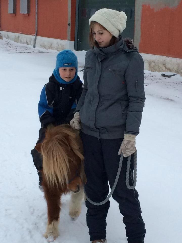 Shetlænder Tvebak billede 4