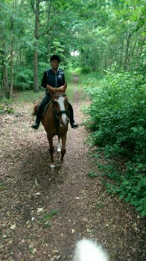 Anden særlig race Flying Shadow solgt billede 12