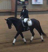 Anden særlig race Maestro billede 1