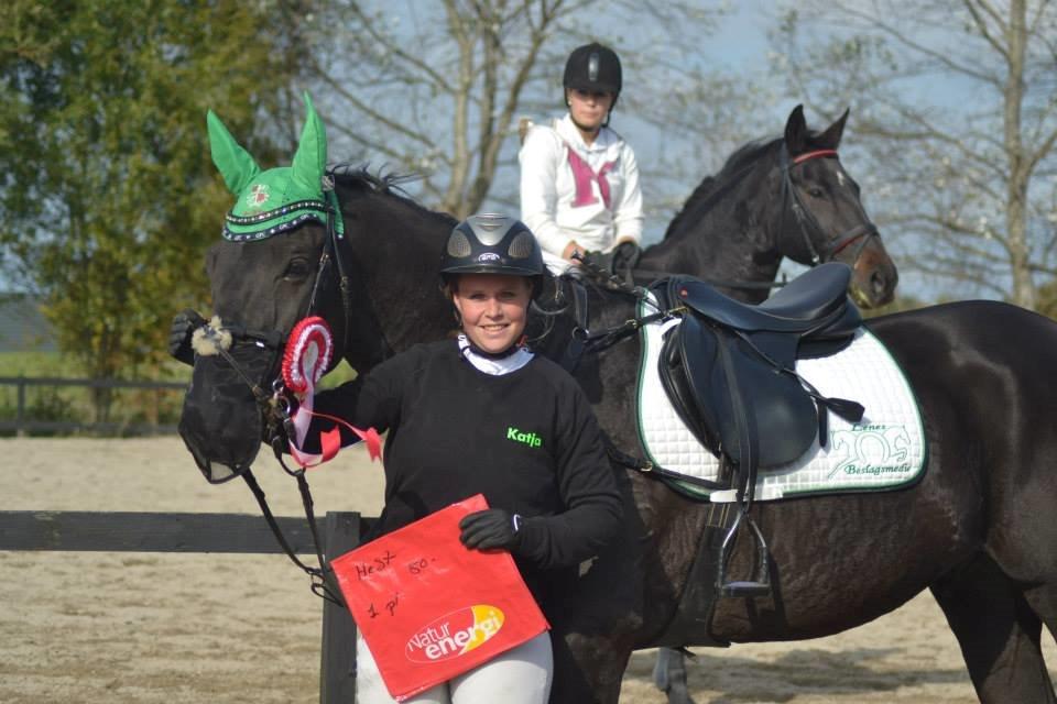 Dansk Varmblod Quendy - L - Vinder af Terrænspringning på FAK i 80 cm for hest. 4 sek. fra ideal tiden :D  billede 2