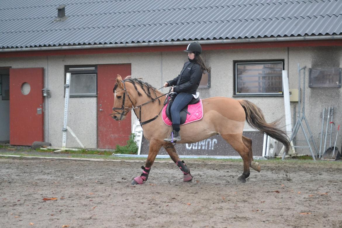 Anden særlig race Cosmos billede 22