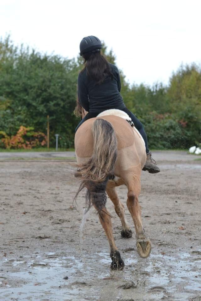 Anden særlig race Cosmos - Når enden er god, er alting godt <3 -Tak for kigget <3 billede 28