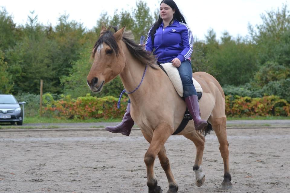 Anden særlig race Cosmos billede 17