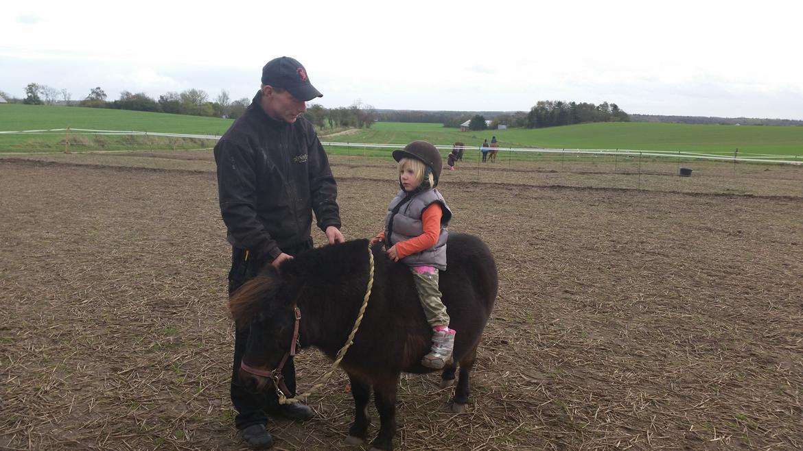 Anden særlig race Amanda billede 3