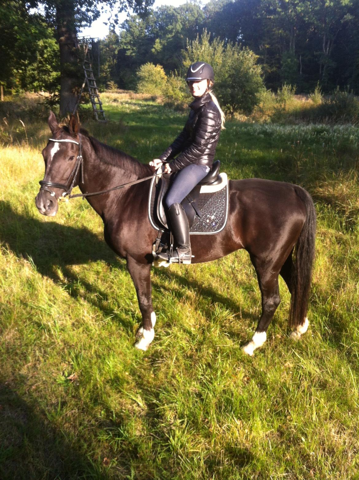 Dansk Varmblod Anza´s Fatamorgana (Fanta) - en hygge tur i skoven <3 billede 3