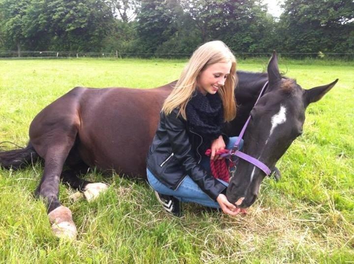 Dansk Varmblod Anza´s Fatamorgana (Fanta) billede 4