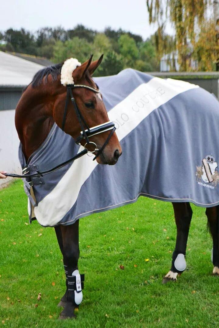 Anden særlig race Lippaschu billede 3