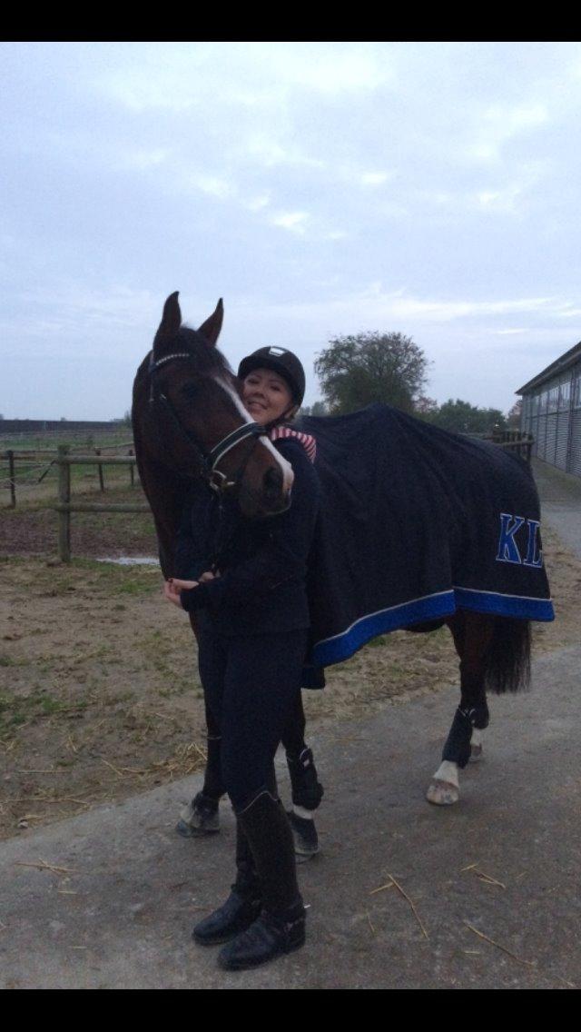 Hollandsk Sportspony Xantal-Jr. A / FEI-pony  - <3 billede 16