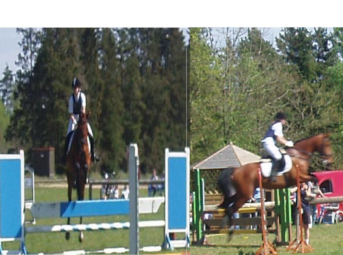 Oldenborg Cornando billede 20