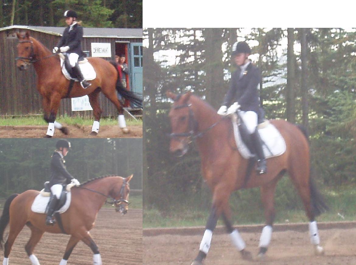 Oldenborg Cornando billede 21