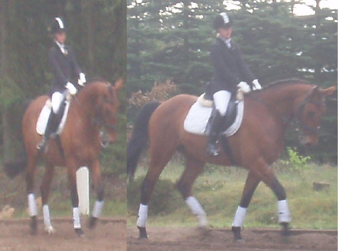 Oldenborg Cornando billede 22