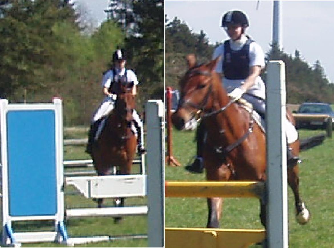 Oldenborg Cornando billede 19