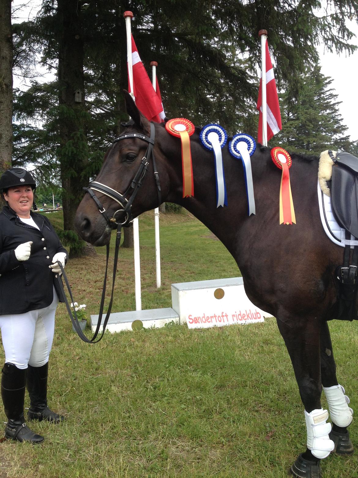 Dansk Varmblod DENISE billede 20