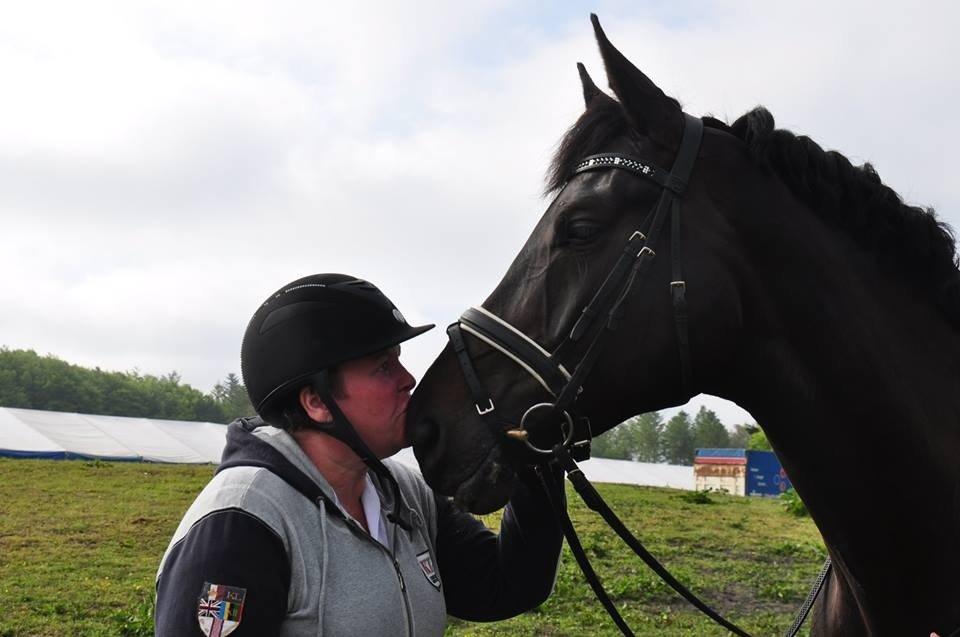 Dansk Varmblod DENISE billede 21