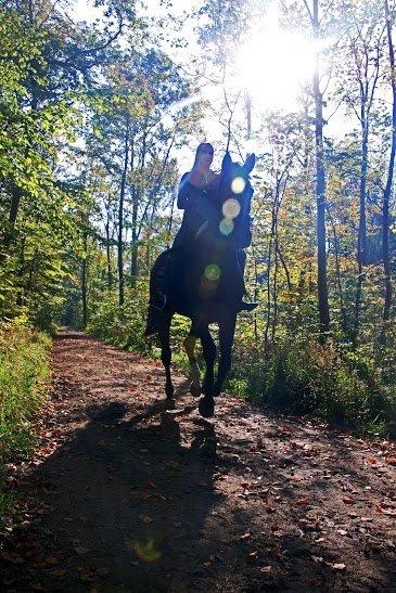 Dansk Varmblod Klosterhedens Wonder billede 18