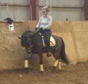 Anden særlig race Faxi - Pony og Karina træner i ridehuset (mor her er jo for meget kylling til at ride endnu) billede 19