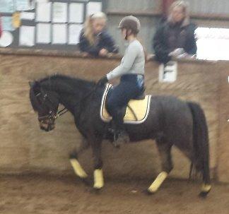 Anden særlig race Faxi - Pony og Karina træner i ridehuset (mor her er jo for meget kylling til at ride endnu) billede 21