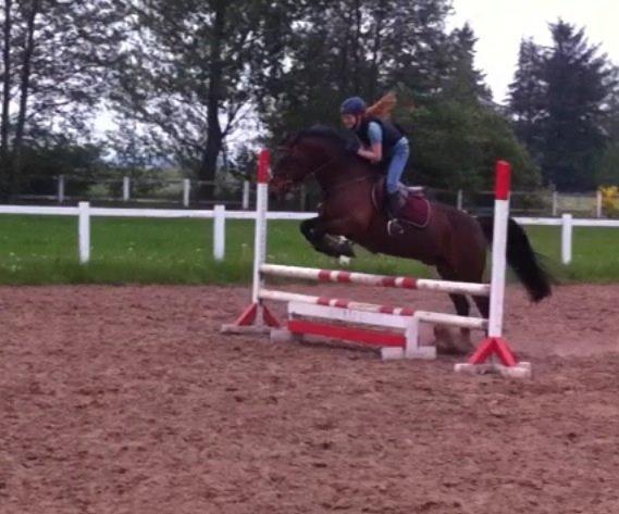 Anden særlig race Sam <3 billede 15