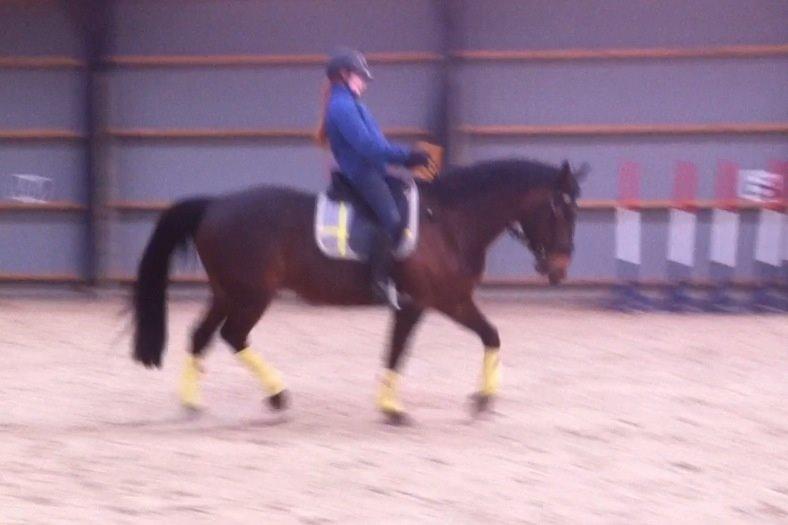 Anden særlig race Sam <3 billede 16