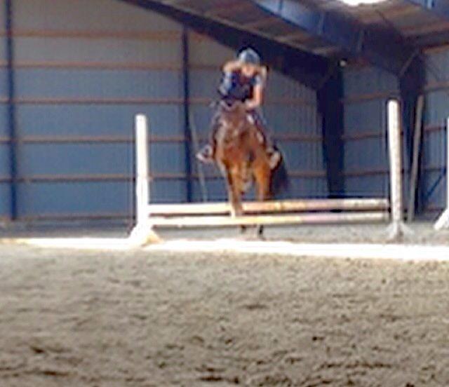 Anden særlig race Sam <3 billede 17