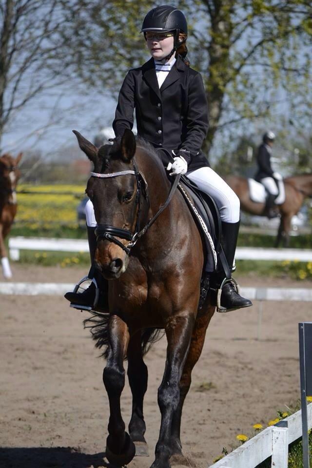 Anden særlig race Sam <3 billede 20