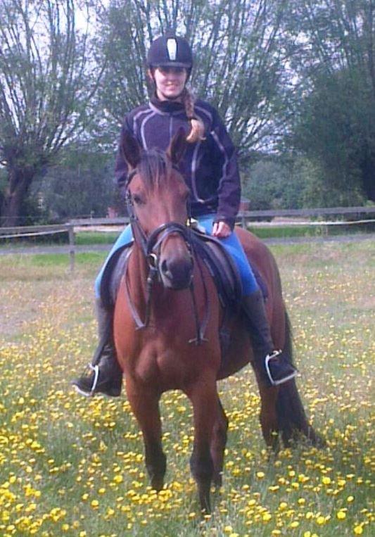 Traver Rosado (Rosa) - 25-08-2014 billede 4