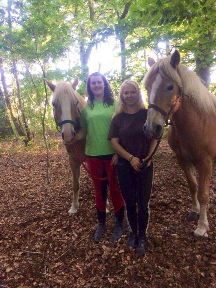 Haflinger Wonder<3 billede 43