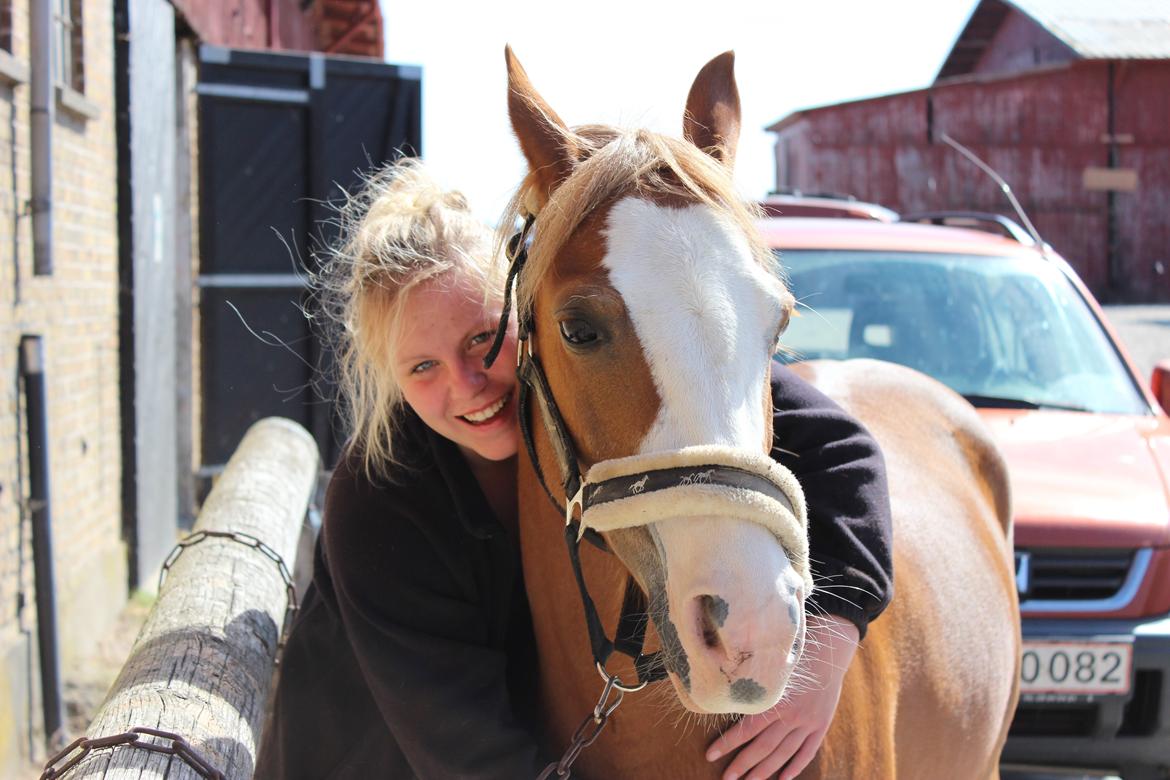 Anden særlig race Miss lucy billede 13